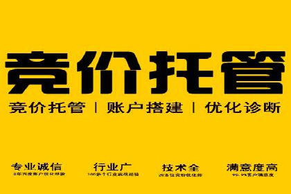 探索百度推广托管的奥秘：成功案例揭秘